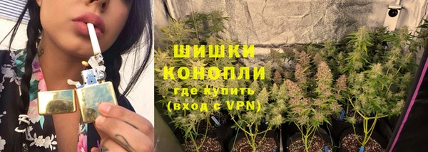 мдпв Новокубанск