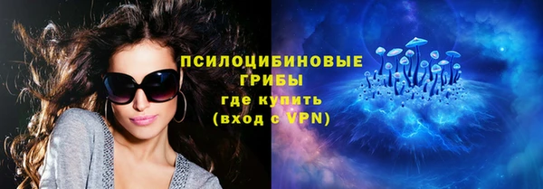 ALPHA-PVP Новозыбков
